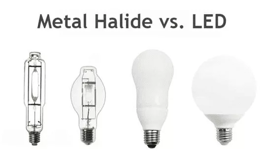 LED vs. Metal Halide Lighting