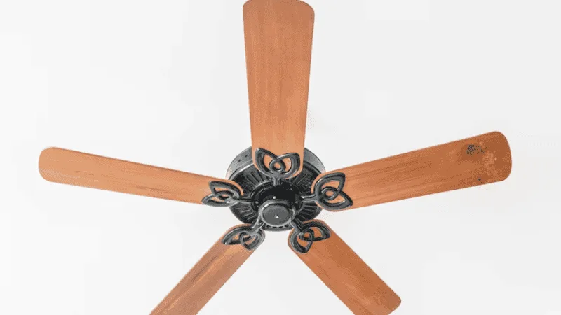 A Bronze ceiling fan creating warmth and coziness in a room