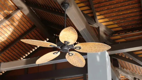 Ceiling Fan