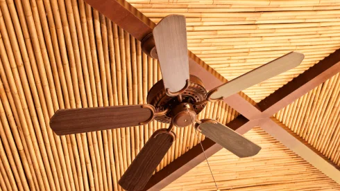 ceiling fan