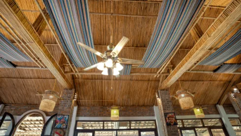 ceiling fan