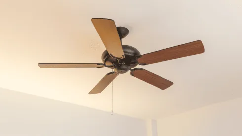 ceiling fan