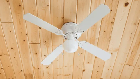 ceiling fan