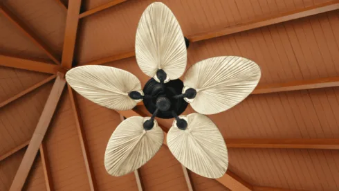 ceiling fan