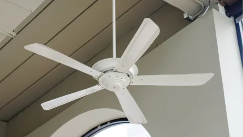 The Ultimate Guide to Ceiling Fan
