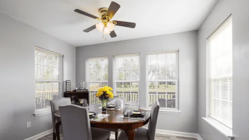 ceiling fan