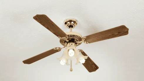 fan lights