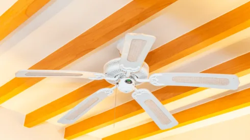 ceiling fan