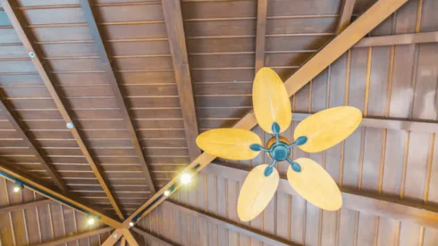 ceiling fan