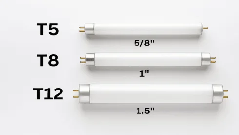 t5-t8-t12
